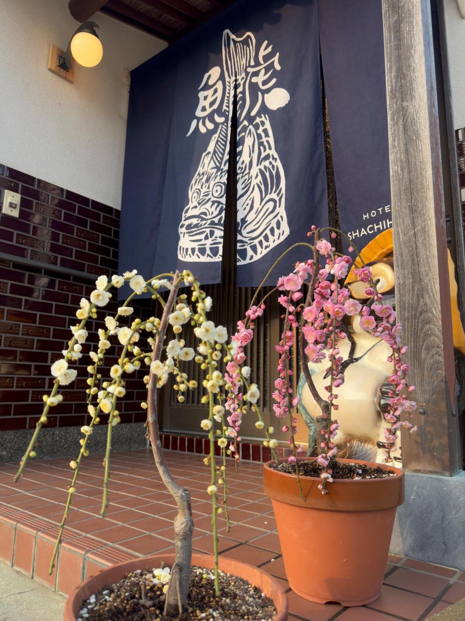 Shachihoko 海辺の一棟貸切ヴィラ しゃちほこ Imari Esterno foto